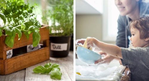 15 astuces pour éliminer les moucherons dans la cuisine