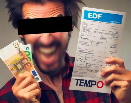 Peut-on contourner légalement l’option Tempo d’EDF chaque hiver ?