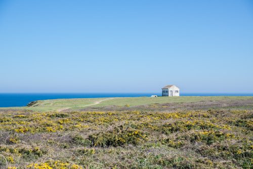 François Damiens et sa maison isolée sur une île bretonne