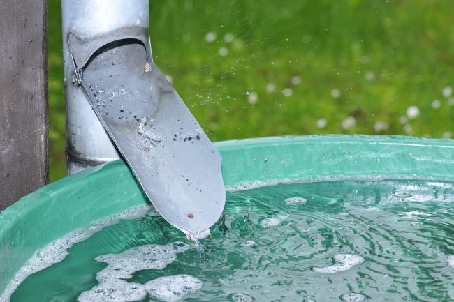 collecter l'eau de pluie