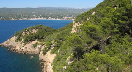 Brigitte Bardot tout savoir sur sa maison de La Madrague