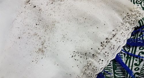 Éliminer la moisissure sur un tissu avec 9 astuces de grand-mère infaillibles