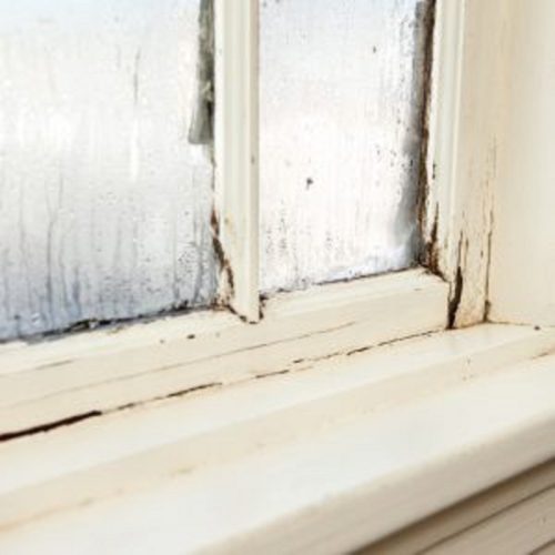 Humidité dans la maison et les meilleures solutions pour s’en débarrasser définitivement