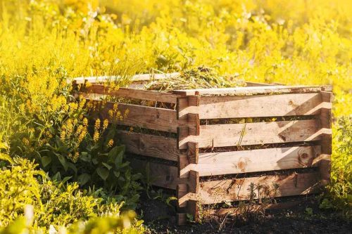 L'erreur à éviter pour l'emplacement de votre futur bac à compost