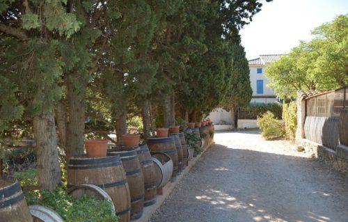 Pierre Richard et son majestueux château viticole dans l’Aude