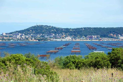 Benjamin Biolay et sa maisonnette à Sète qui est un havre de paix