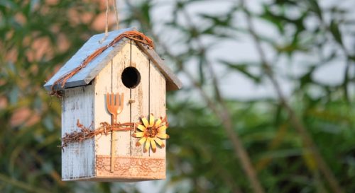Installer un nichoir dans son jardin et l’amende que vous encourez