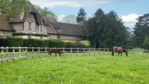 Michel Sardou et son manoir équestre niché dans le Calvados