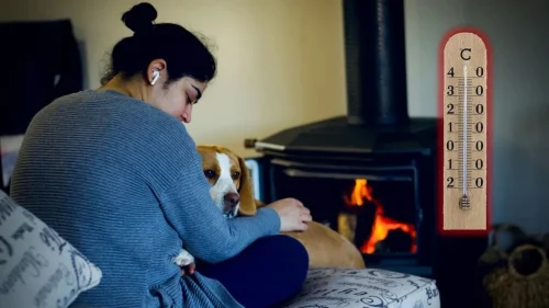 La température idéale chez soi
