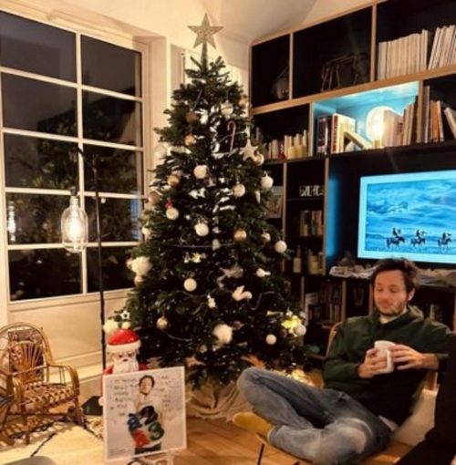 Les plus beaux sapins de Noël