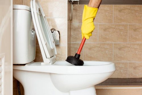 Déboucher ses WC