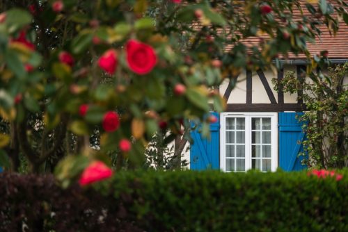 Evelyne Dhéliat et sa maison