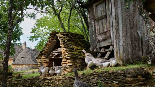 Philippe Etchebest et sa ferme isolée